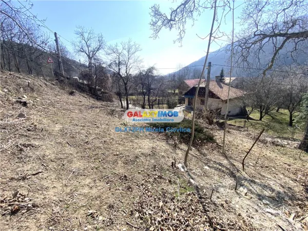 Casă 4 camere Comarnic - poza 14