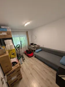 SOARELUI - PARTER - 3 CAMERE - 2 BAI - DECOMANDAT - CENTRALA PROPRIE - RENOVAT - foto 7