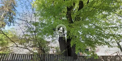 Teren  de vanzare Iasi, Centru, - foto 2