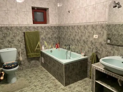 Vanzare casa individuala 6 camere Remetea Mare cu piscina si ponton propriu la raul Bega - foto 6