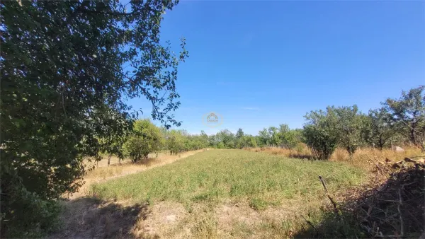 Casă 3 camere Lipau - poza 18