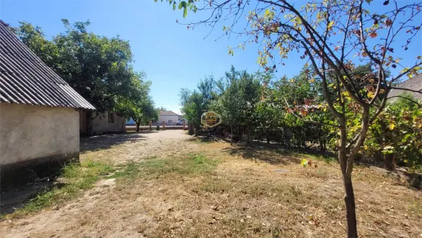 Casă 3 camere Lipau - poza 21