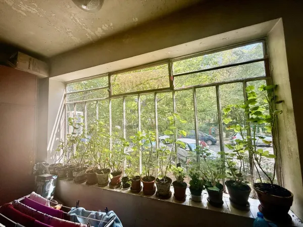 Apartament 3 camere București - poza 1