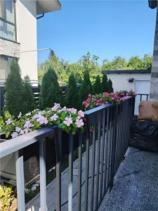 Vila 5 camere Tunari - Tunari