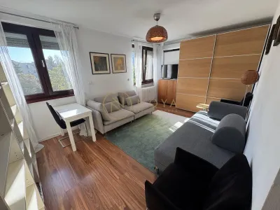 Apartament cu 2 camere de inchiriat Parcul Circului pet friendly - foto 17