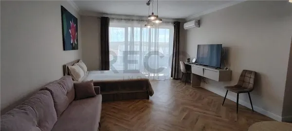 Apartament 1 camera Băile Felix - poza 1