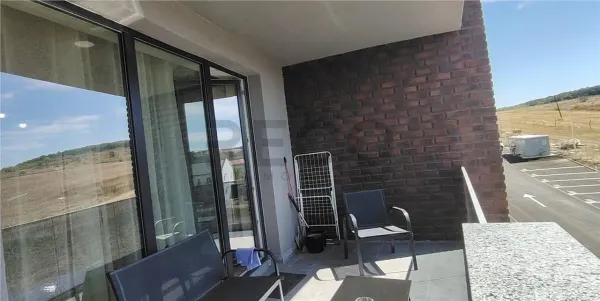 Apartament 1 camera Băile Felix - poza 2