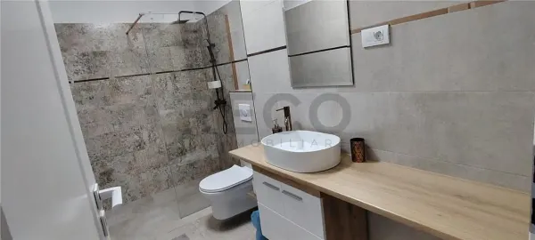 Apartament 1 camera Băile Felix - poza 5