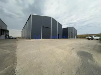 Hala depozitare, productie 585mp, zona Skoda, Letcani - foto 2