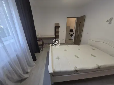 Apartament 1 camera de inchiriat zona  Gara - Iasi - foto 2