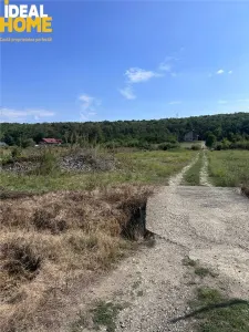 Loturi Teren Dumbrava Iasi - foto 3