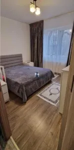 Vanzare Apartament 3 Camere Decomandat Oltenitei-Samoila Dumitru - foto 5