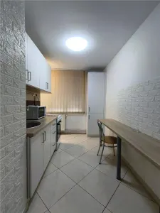 Apartament 2 camere Piata Victoriei langa Mures Mall si UMFST, Centru - foto 11