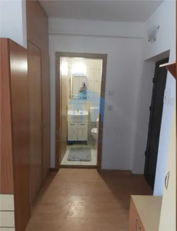 Apartament 1 camera Cluj-Napoca - poza 2