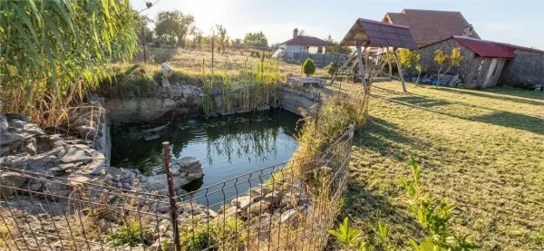 Casă 3 camere Saldabagiu de Munte - poza 9