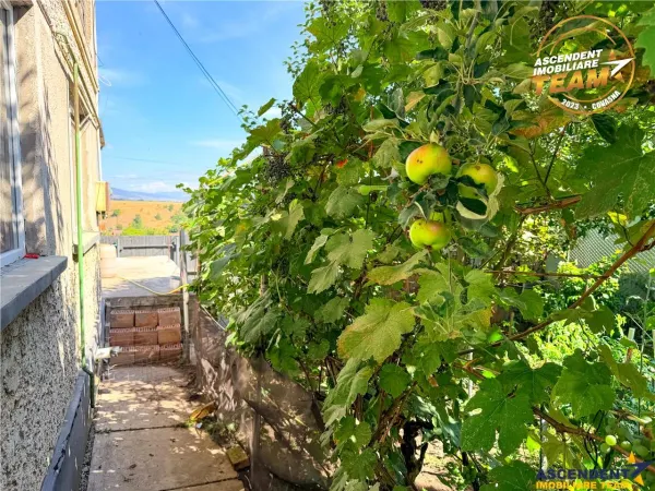 Casă 3 camere Sfântu Gheorghe - poza 25