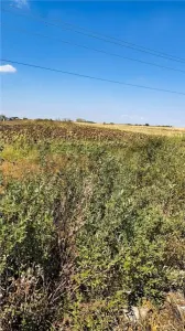 RECO Teren Intravilan Nojorid – Les - foto 3