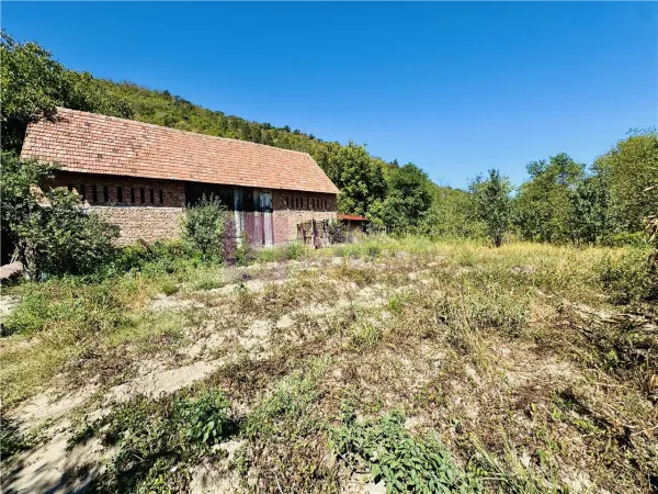 Spațiu comercial Seica Mare - poza 2