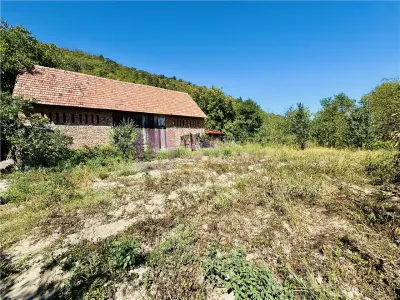 Spațiu comercial Seica Mare - poza 2