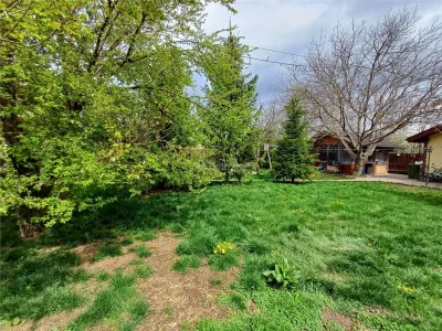 Casă 5 camere Măgurele - poza 3