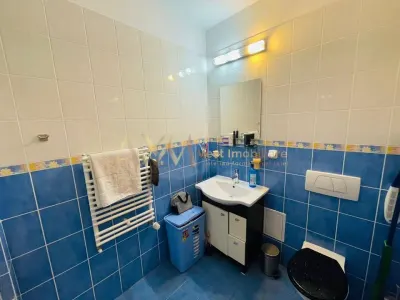 Apartament 1 camera Timișoara - poza 8