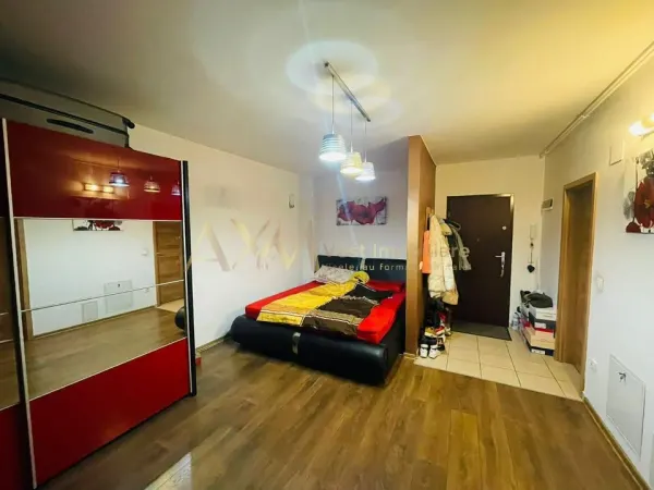 Apartament 1 camera Timișoara - poza 5