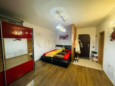 Apartament 1 camera Timișoara - poza 5