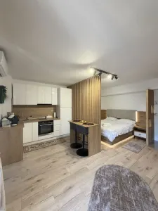 Studio 35 mp | Palas | Prima închiriere | Renovat complet | La 6 minute de Palas - Iasi