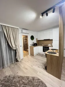 Studio 35 mp | Palas | Prima închiriere | Renovat complet | La 6 minute de Palas - foto 5