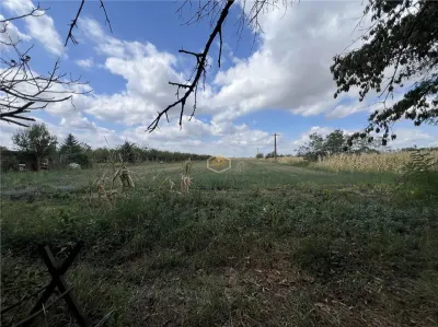 Casa cu 3 camere si teren 3.200 mp | Central Mediesu Aurit - foto 6