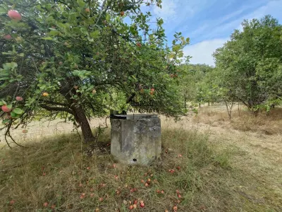 Teren+Casă Mihăileni - foto 8