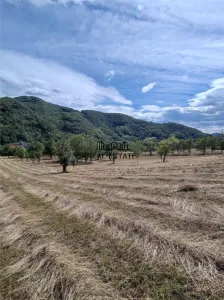 Teren+Casă Mihăileni - foto 9