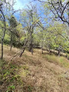888 mp teren cu priveliste si cladiri in Mihaileni - foto 15
