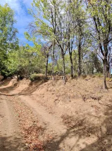 888 mp teren cu priveliste si cladiri in Mihaileni - foto 6