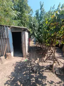 Teren 378 mp, cu casa demolabila, deschidere 8 m, Pisc - foto 10