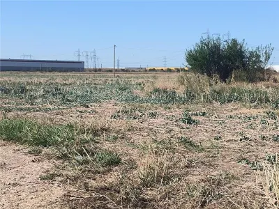 Teren Domnesti,iesire rapida A1 si Centura Bucuresti,zona Divertland si Hornbach,pret 25 euro mp - foto 2