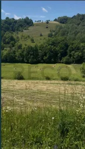 RECO, teren intravilan, loc superb de cabana, Calatea-Bihor - foto 4