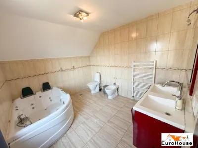 Vila De Vanzare in Alba Iulia I 300mp utili I Demisol - Parter - Etaj - foto 14