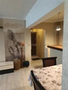 Apartament 3 camere Piata Unirii/Ultracentral - foto 18