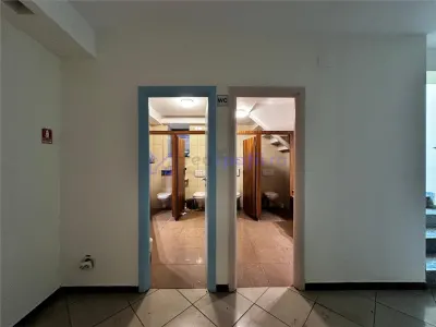 Spatii comerciale de la 38mp la 550mp, centru, Piata Unirii, Iasi - foto 8
