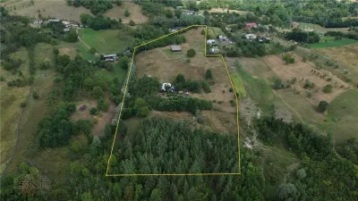 Teren 2,9 hectare cu casa, livezi si anexe de vanzare in Paltin, Vrancea - Paltin
