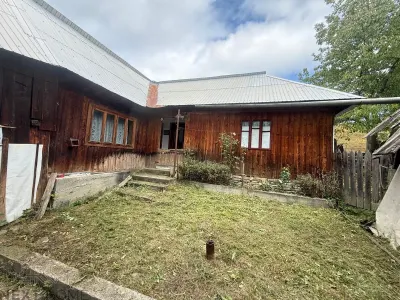 Teren 2,9 hectare cu casa, livezi si anexe de vanzare in Paltin, Vrancea - foto 3