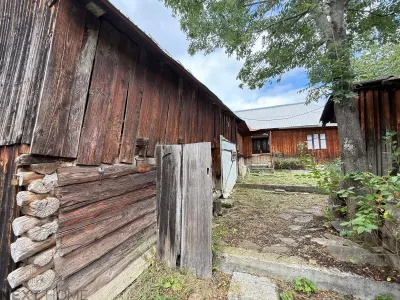 Teren 2,9 hectare cu casa, livezi si anexe de vanzare in Paltin, Vrancea - foto 6