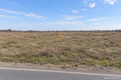 Activ investitional | Teren intravilan 30.000 mp | PUZ | Centura Pantelimon - foto 3