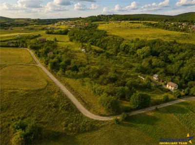 FILM! Confortabila ariere, 4.500 mp, arbori roditori, Sancraiu,Covasna - Sfantu Gheorghe