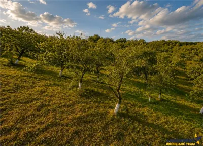 FILM! Confortabila ariere, 4.500 mp, arbori roditori, Sancraiu,Covasna - foto 4