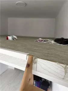 Casa si spatiu comercial zona Vasile Lascar - foto 18