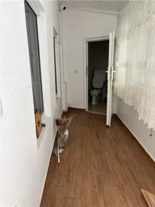 Casa si spatiu comercial zona Vasile Lascar - foto 25