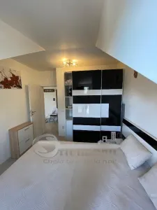 Apartament 1 cameră de închiriat – Ultracentral, lângă Palas Mall - foto 2