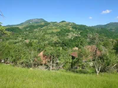 1,3 ha Teren si cladiri in Blajeni - foto 2
